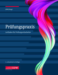 Vorderes Coverbild Prüfungspraxis, 2. Aufl.