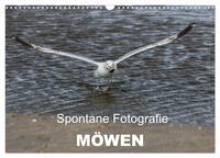 Vorderes Coverbild Spontane Fotografie - Möwen (Wandkalender 2025 DIN A3 quer), CALVENDO Monatskalender