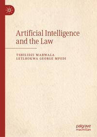 Vorderes Coverbild Artificial Intelligence and the Law