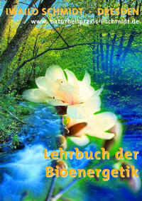 Vorderes Coverbild Lehrbuch der Bioenergetik