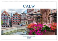 Vorderes Coverbild Calw - Die Hermann-Hesse-Stadt (Wandkalender 2025 DIN A2 quer), CALVENDO Monatskalender