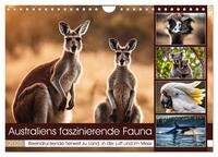 Vorderes Coverbild Australiens faszinierende Fauna (Wandkalender 2025 DIN A4 quer), CALVENDO Monatskalender