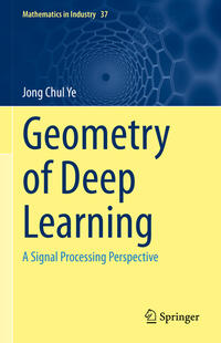 Vorderes Coverbild Geometry of Deep Learning