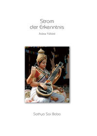 Vorderes Coverbild Strom der Erkenntnis