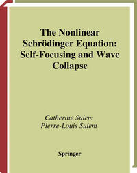 Vorderes Coverbild The Nonlinear Schrödinger Equation