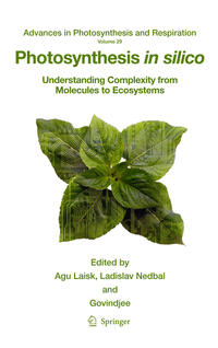 Vorderes Coverbild Photosynthesis in silico
