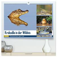 Vorderes Coverbild Krokodile in der Wildnis (hochwertiger Premium Wandkalender 2025 DIN A2 quer), Kunstdruck in Hochglanz