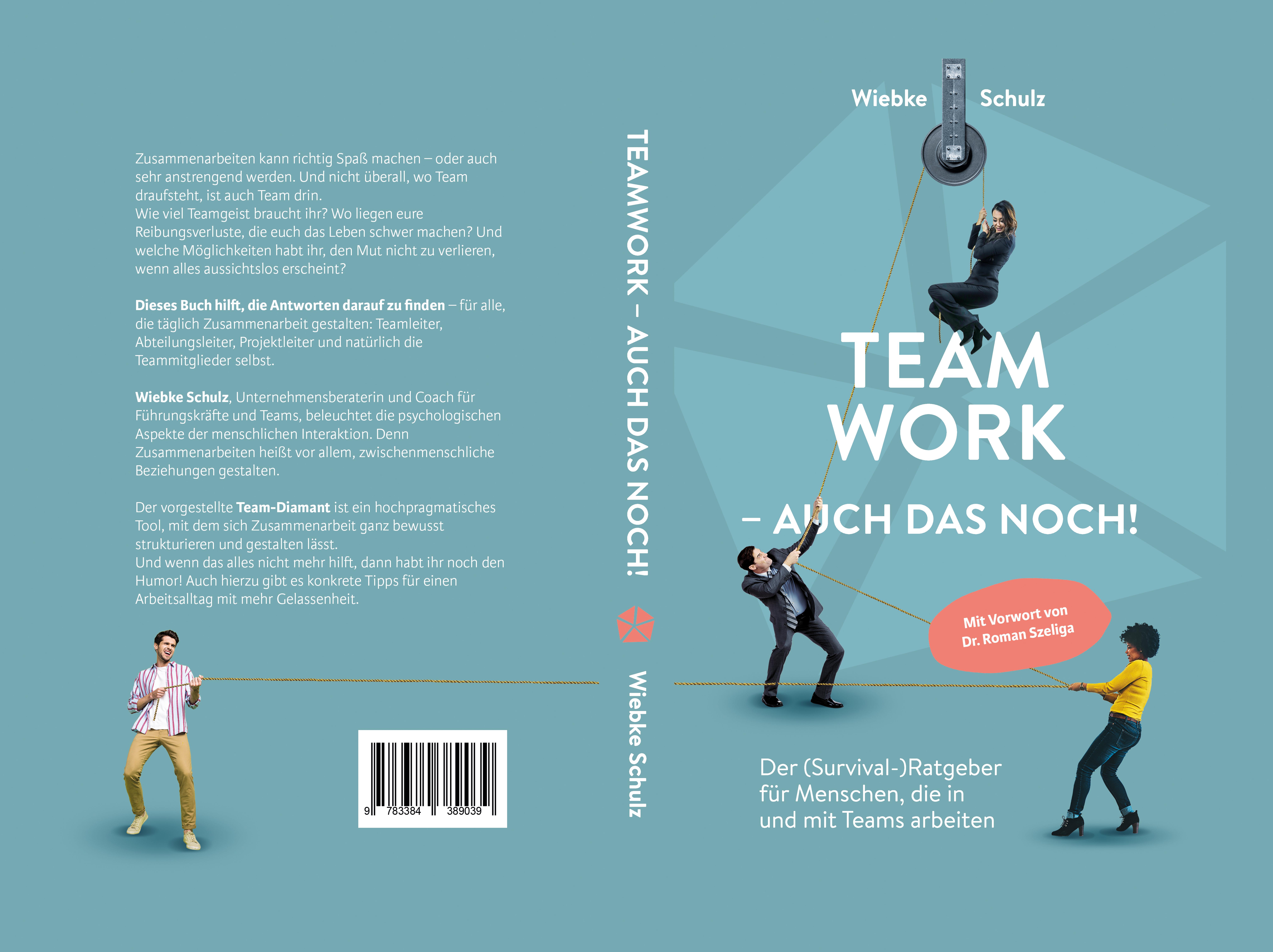 Gesamtes Coverbild Teamwork – auch das noch!