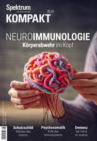 Vorderes Coverbild Spektrum Kompakt 5/2024 - Neuroimmunologie