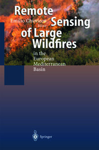 Vorderes Coverbild Remote Sensing of Large Wildfires