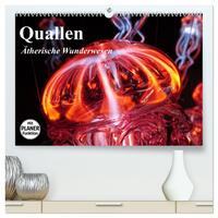 Vorderes Coverbild Quallen. Ätherische Wunderwesen (hochwertiger Premium Wandkalender 2025 DIN A2 quer), Kunstdruck in Hochglanz