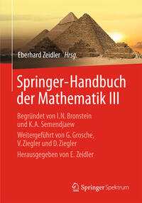 Vorderes Coverbild Springer-Handbuch der Mathematik III