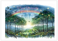 Vorderes Coverbild Das Wunder der Glühwürmchen