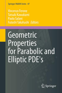 Vorderes Coverbild Geometric Properties for Parabolic and Elliptic PDE's