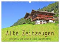 Vorderes Coverbild Alte Zeitzeugen (Wandkalender 2025 DIN A3 quer), CALVENDO Monatskalender