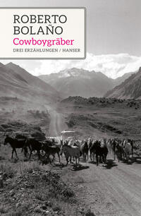 Vorderes Coverbild Cowboygräber