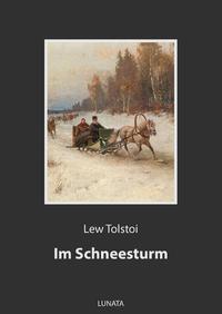 Vorderes Coverbild Im Schneesturm