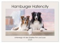 Vorderes Coverbild Hamburger Hafencity - Unterwegs mit den Shelties Finn und Louis (Wandkalender 2025 DIN A2 quer), CALVENDO Monatskalender