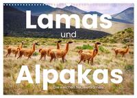 Vorderes Coverbild Lamas und Alpakas - Die weichen Neuweltkamele. (Wandkalender 2025 DIN A3 quer), CALVENDO Monatskalender