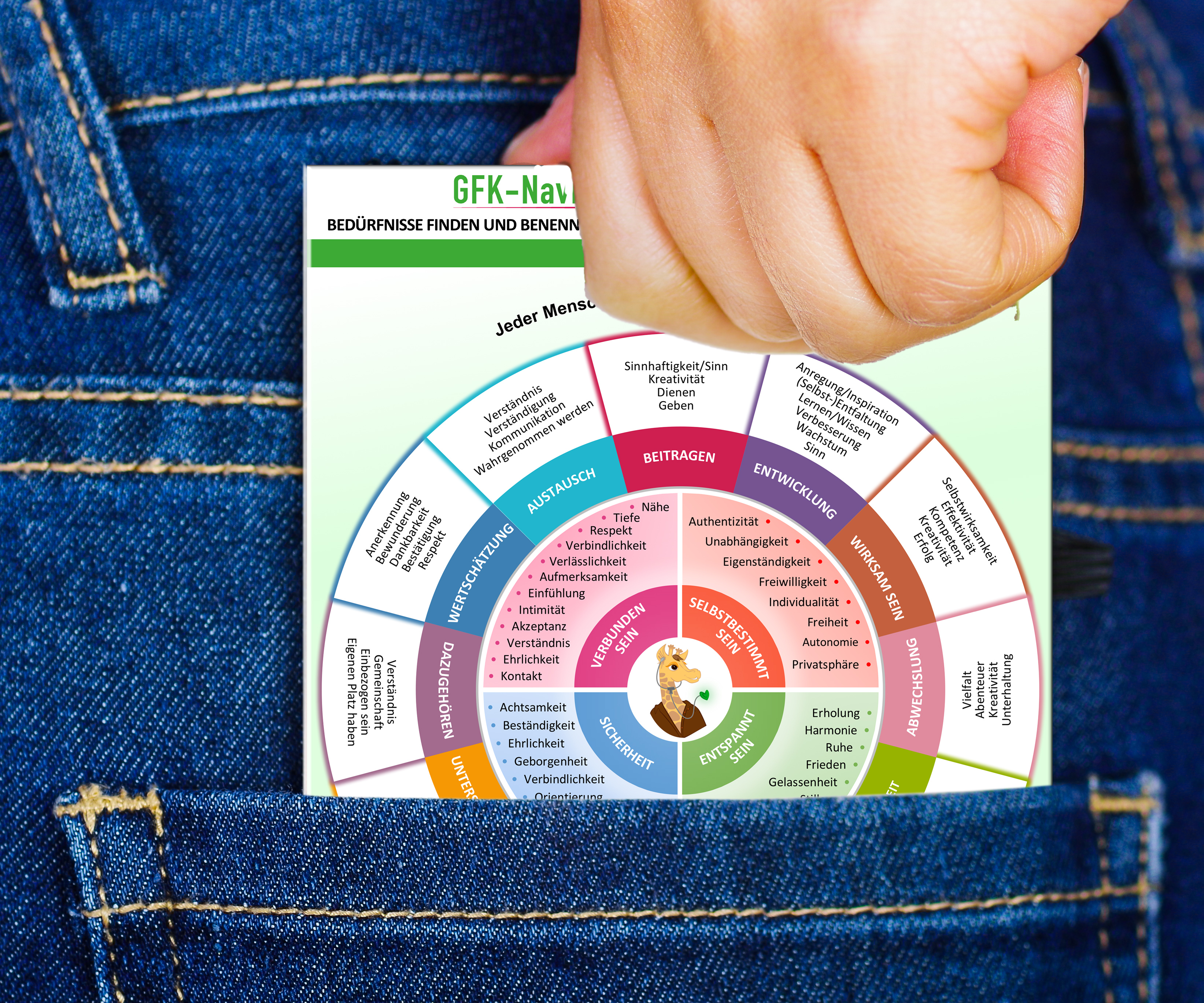Rückseitencover GFK-Navigator für Bedürfnisse - Hosentaschen-Format (2024)