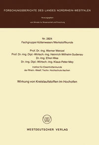 Vorderes Coverbild Wirkung von Kreislaufstoffen im Hochofen