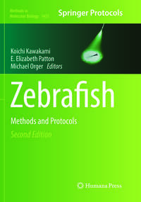 Vorderes Coverbild Zebrafish