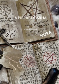 Vorderes Coverbild La pierre de Srha