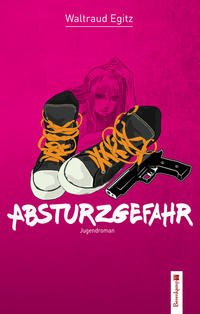 Vorderes Coverbild Absturzgefahr