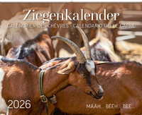 Vorderes Coverbild Ziegenkalender / Calendrier des chèvres / Calendario delle capre 2026
