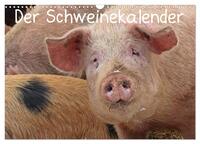 Vorderes Coverbild Der Schweinekalender (Wandkalender 2025 DIN A3 quer), CALVENDO Monatskalender