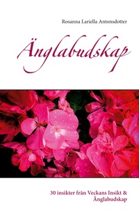 Vorderes Coverbild Änglabudskap