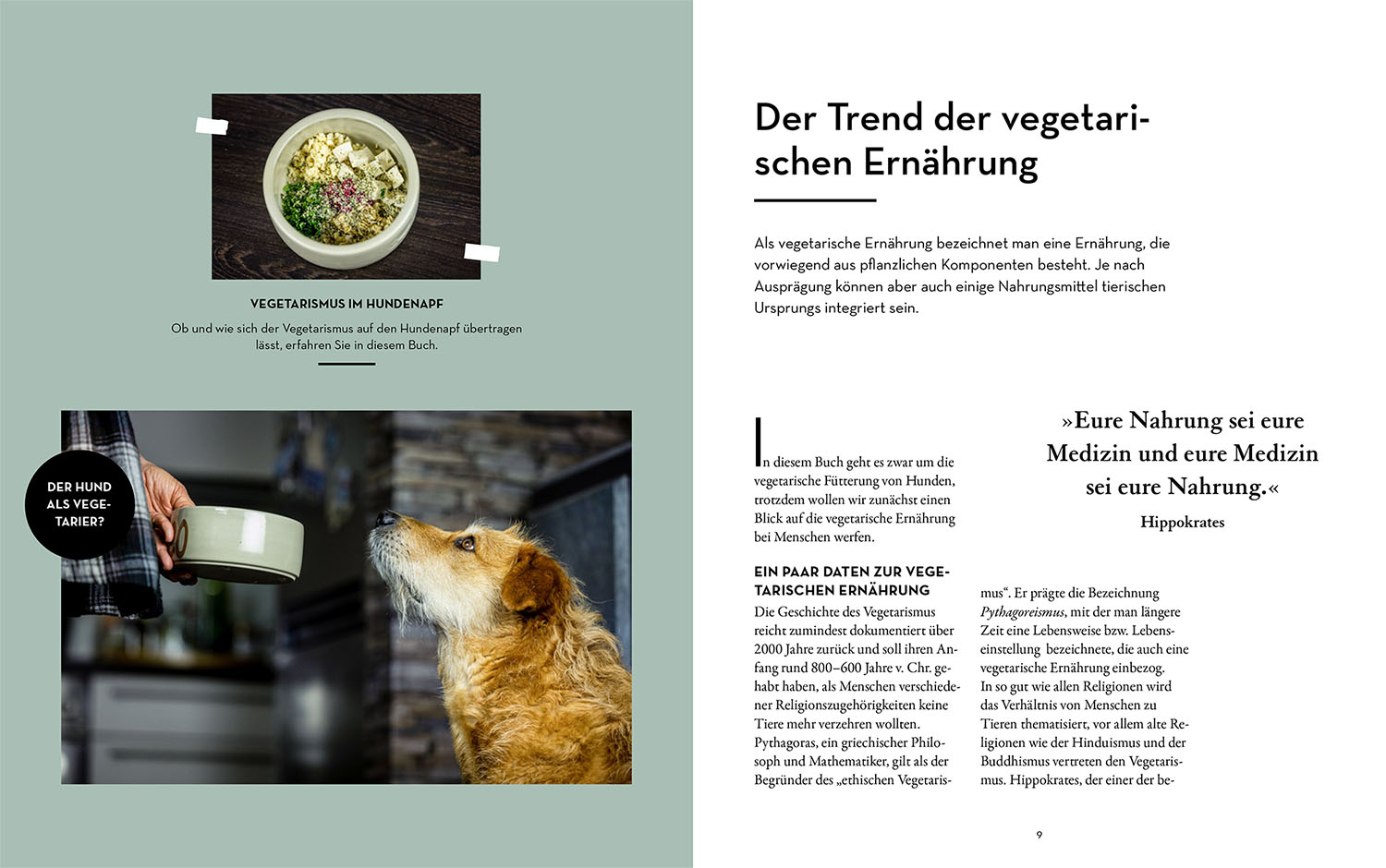 Beispielinhalt (Bild) Veggie Feeding