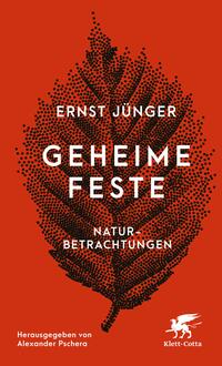 Vorderes Coverbild Geheime Feste