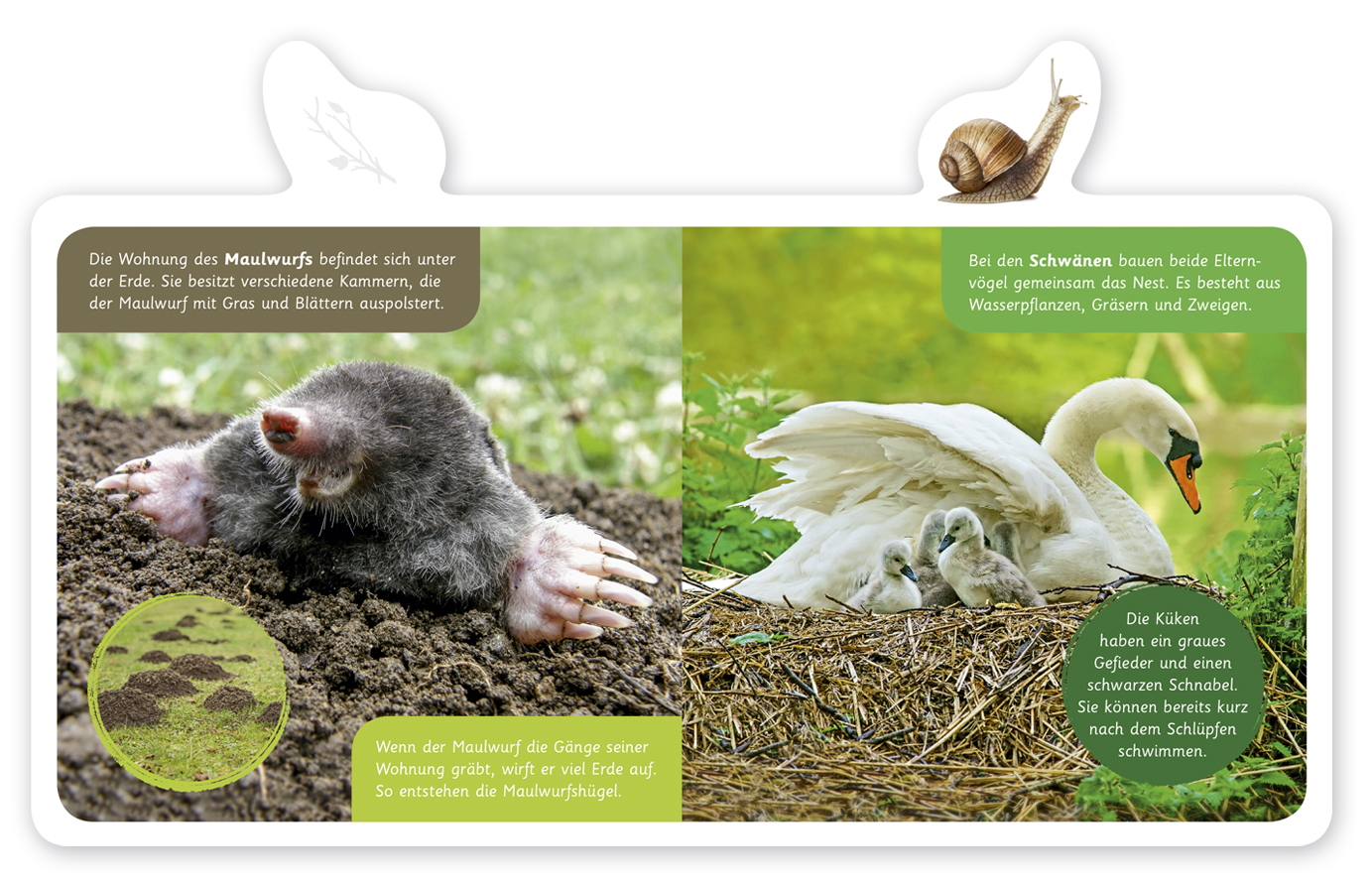 Beispielinhalt (Bild) Wo wohnen Tiere?