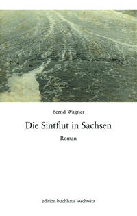 Vorderes Coverbild Die Sintflut in Sachsen