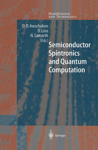 Vorderes Coverbild Semiconductor Spintronics and Quantum Computation