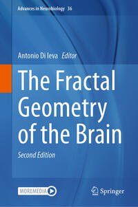 Vorderes Coverbild The Fractal Geometry of the Brain