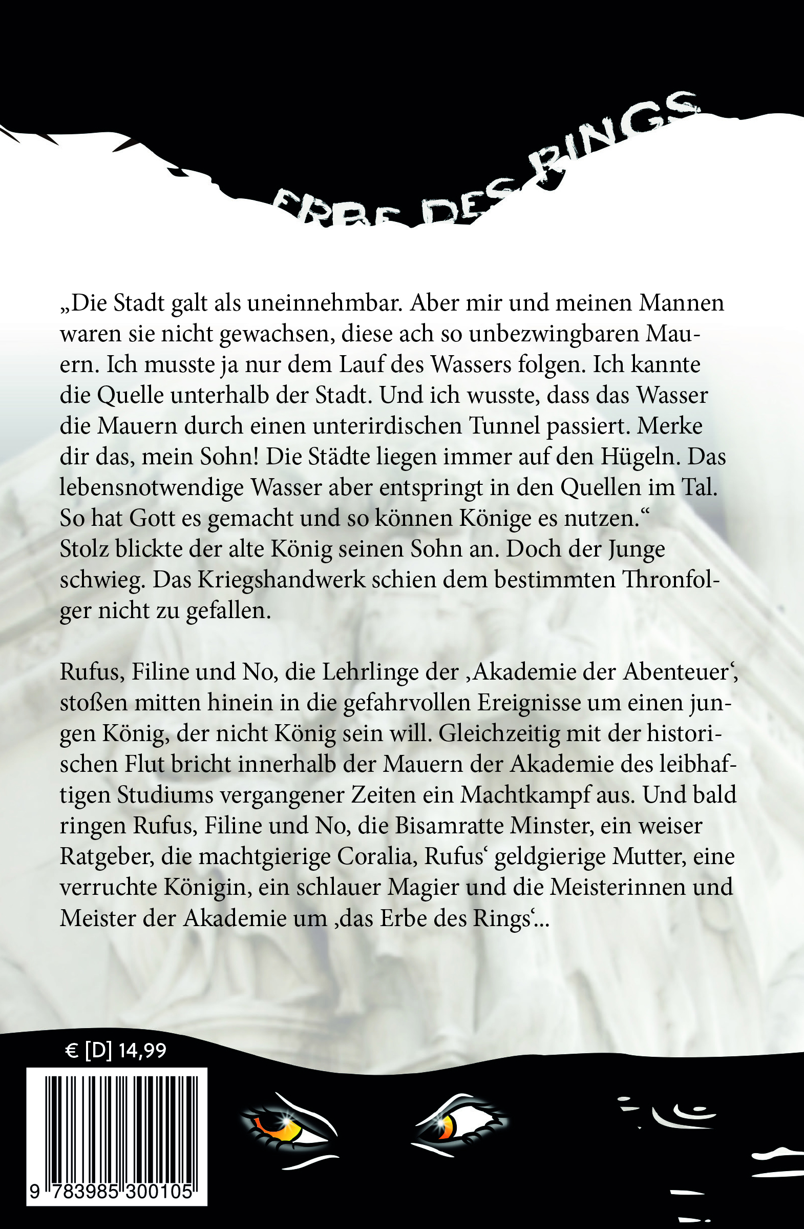 Rückseitencover Akademie der Abenteuer