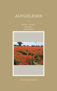 Vorderes Coverbild Aufgelesen