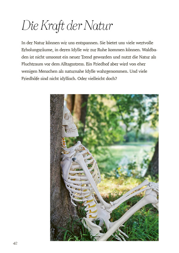 Beispielinhalt (Bild) Der Tod und Ich