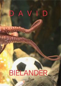 Vorderes Coverbild David Bielander