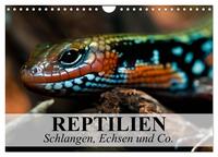 Vorderes Coverbild Reptilien Schlangen, Echsen und Co. (Wandkalender 2025 DIN A4 quer), CALVENDO Monatskalender
