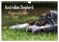Vorderes Coverbild Australian Shepherd - Augenblicke (Wandkalender 2025 DIN A4 quer), CALVENDO Monatskalender