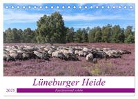 Vorderes Coverbild Lüneburger Heide - Faszinierend schön (Tischkalender 2025 DIN A5 quer), CALVENDO Monatskalender