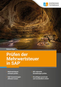Vorderes Coverbild Prüfen der Mehrwertsteuer in SAP