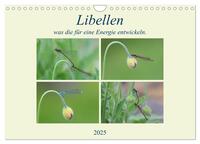 Vorderes Coverbild Libellen, was die für eine Energie entwickeln. (Wandkalender 2025 DIN A4 quer), CALVENDO Monatskalender
