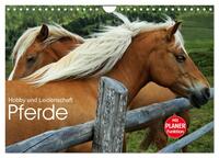 Vorderes Coverbild Pferde - Hobby und Leidenschaft (Wandkalender 2025 DIN A4 quer), CALVENDO Monatskalender