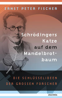 Vorderes Coverbild Schrödingers Katze auf dem Mandelbrotbaum. Die Schlüsselideen der großen Forscher