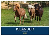 Vorderes Coverbild Isländer - icelandic horses (Wandkalender 2025 DIN A4 quer), CALVENDO Monatskalender