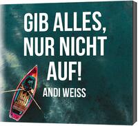 Vorderes Coverbild Gib alles, nur nicht auf!